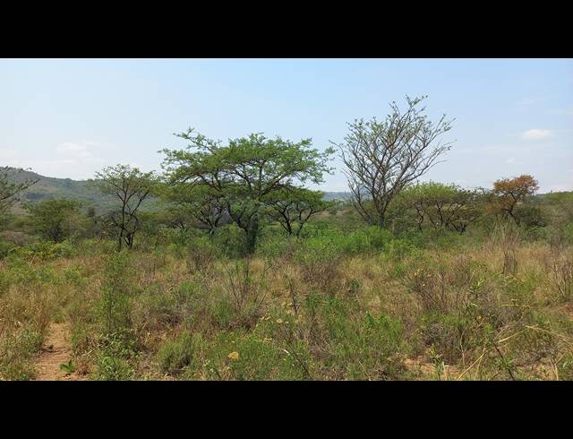 1HA SMALLHOLDING FOR SALE IN NELSPRUIT RURAL